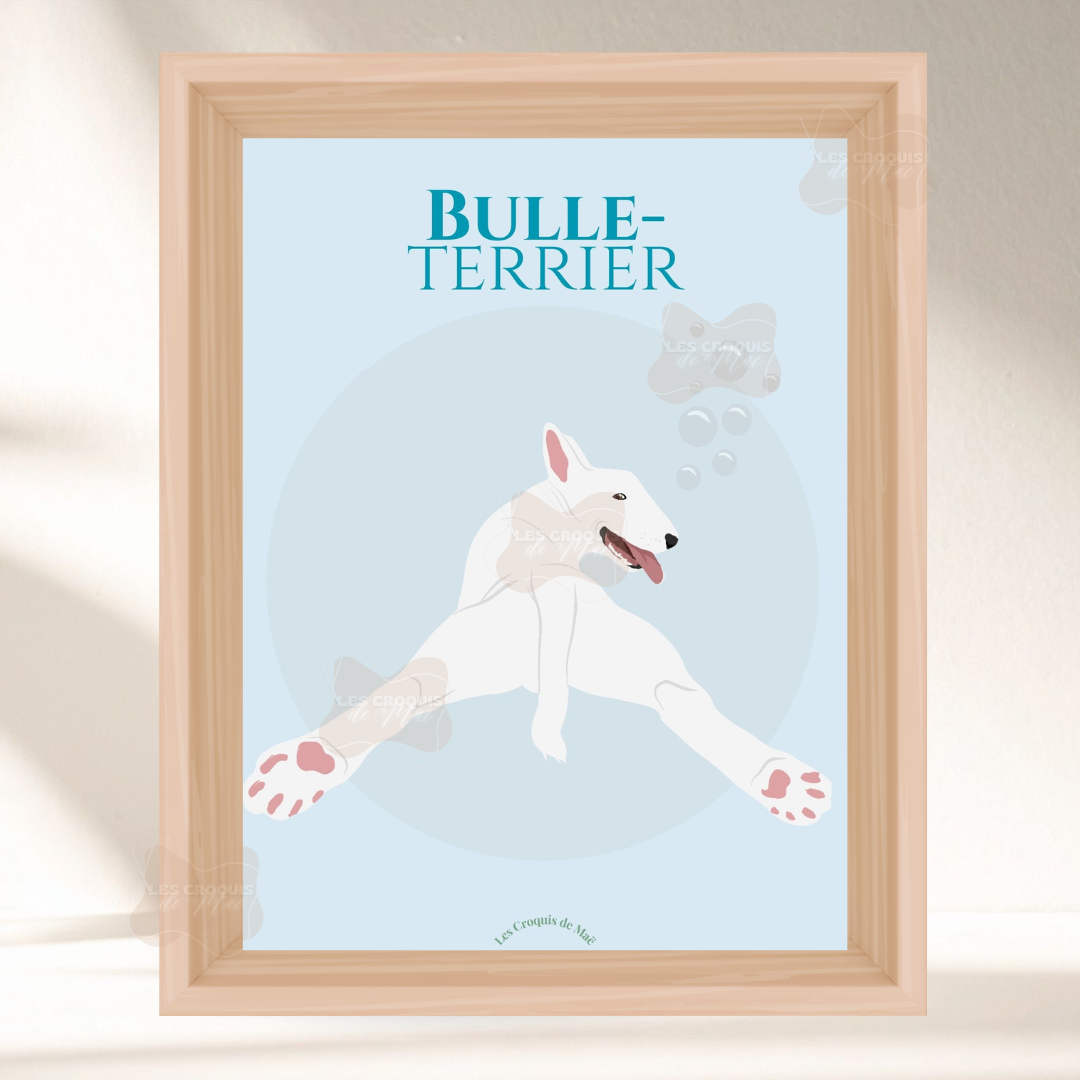 Affiche Bull Terrier- Bulle-Terrier