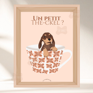 Animaux